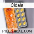 Cidala new05
